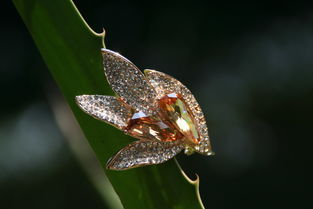 歌诗莉饰品 麦秸画艺术点亮店铺装修，展现独特产品魅力